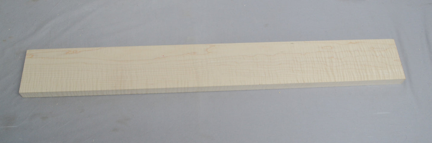 curly hard maple neck (#elg-471)