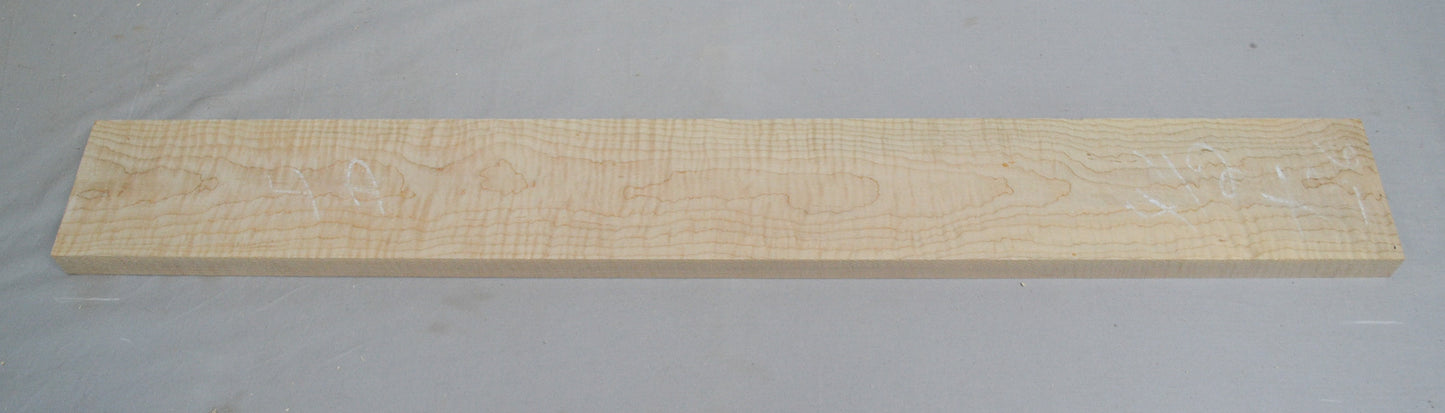 curly hard maple neck (#elg-475)