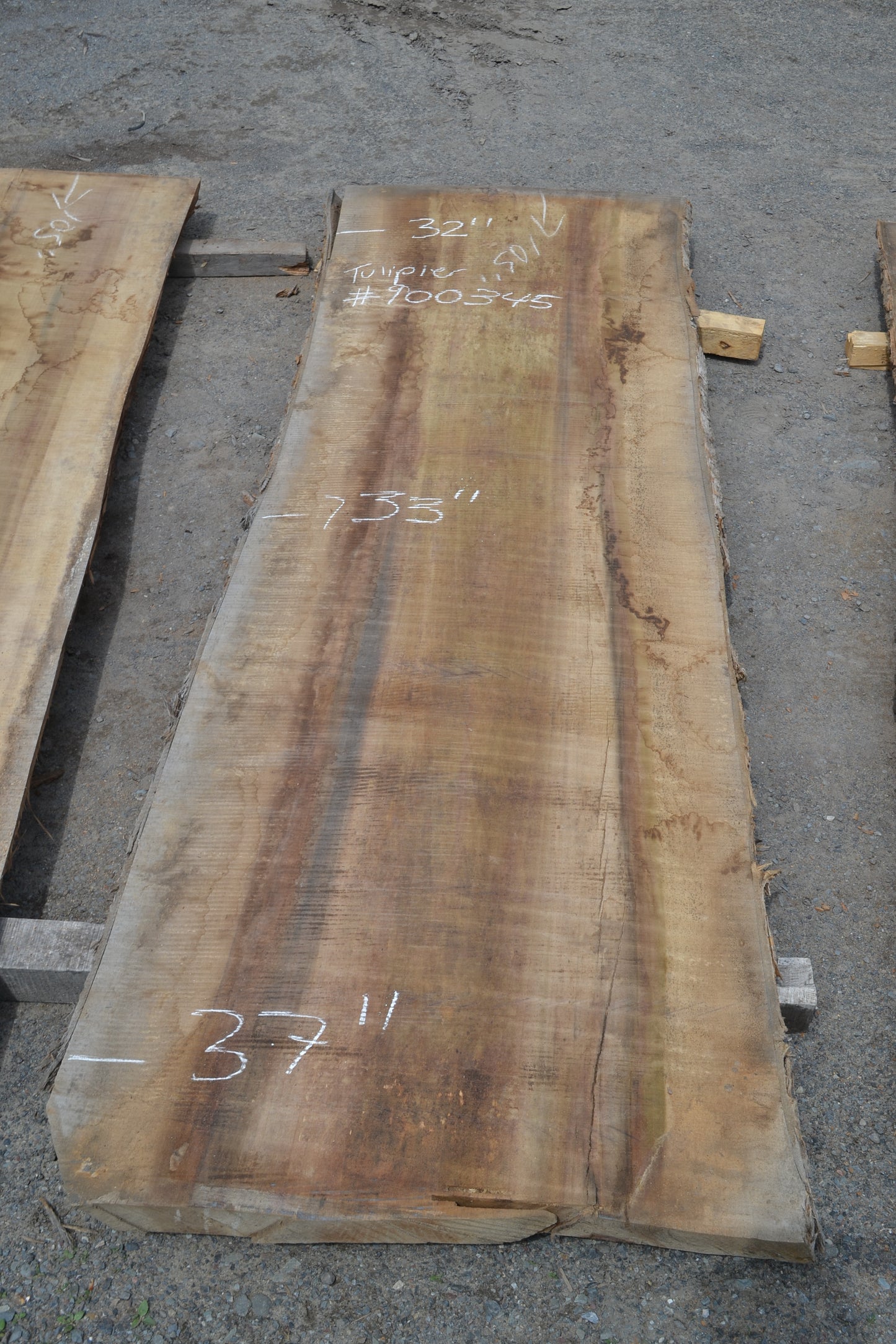 Tulip Slab (#900345)