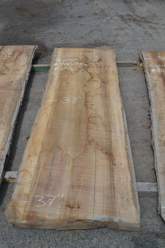 Tulip Slab (#900346)