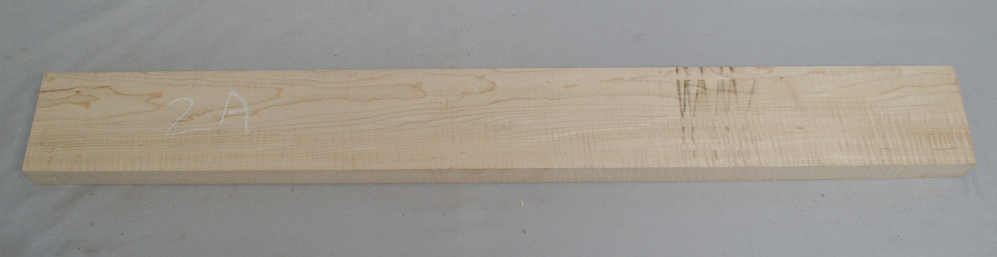 curly hard maple neck (#elg-501)