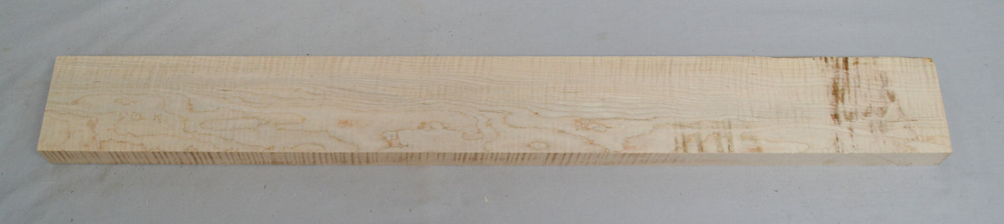 curly hard maple neck (#elg-501)