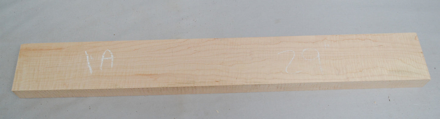 curly hard maple neck (#elg-503)