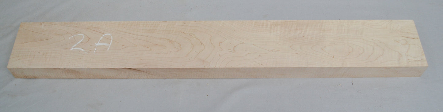 curly hard maple neck (#elg-505)