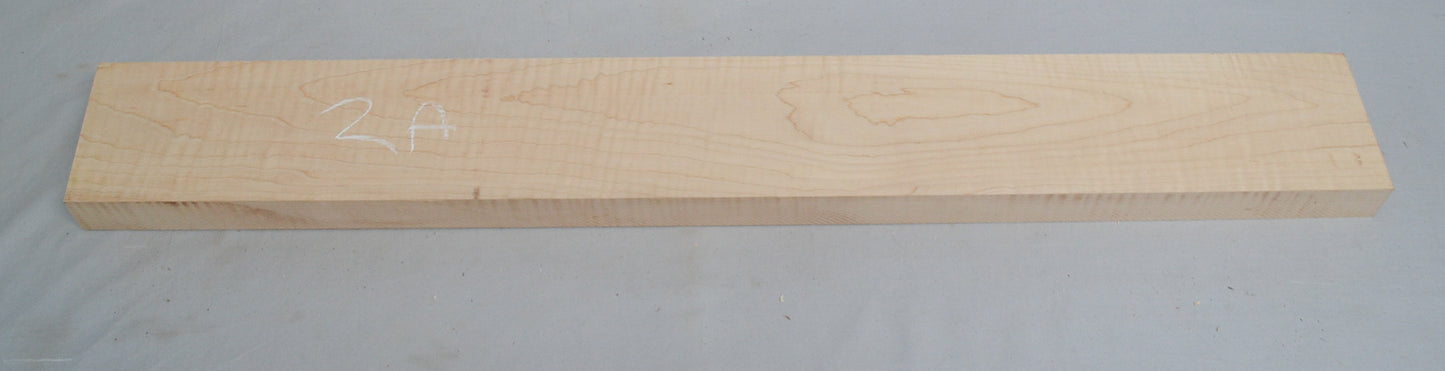 curly hard maple neck (#elg-507)