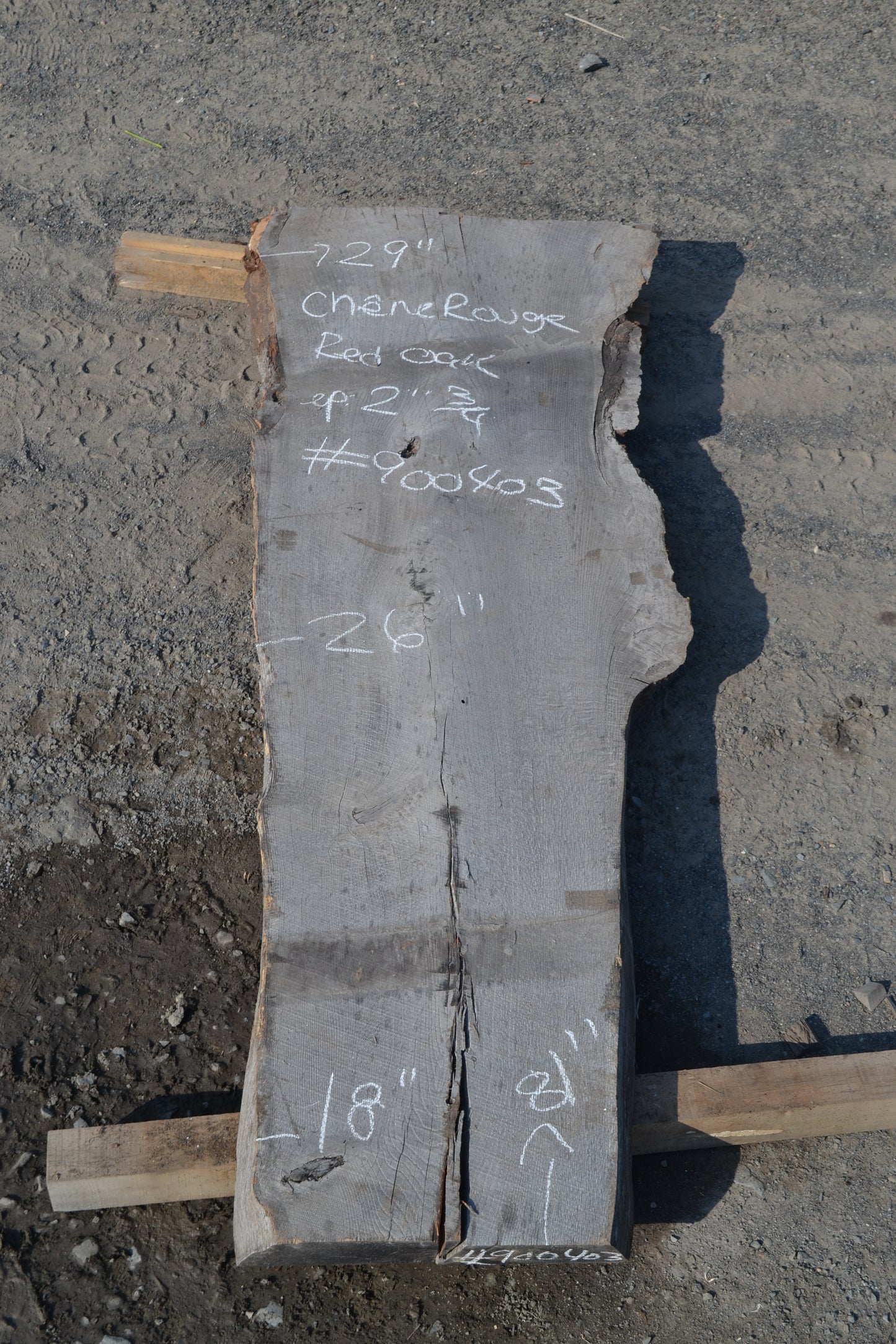 Red Oak Slab (#900403)