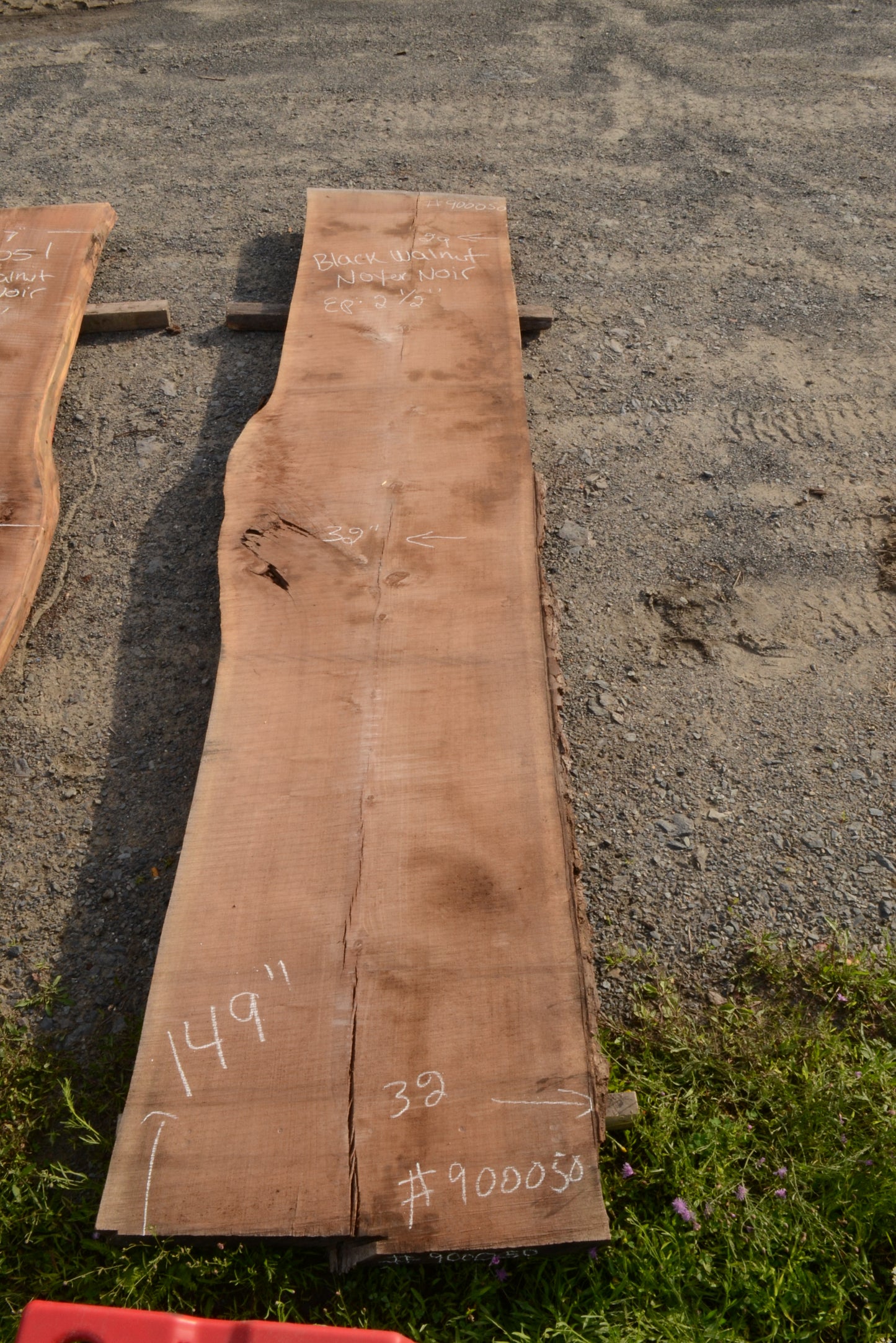 Kiln dried Black Walnut Slab.  (#900050)