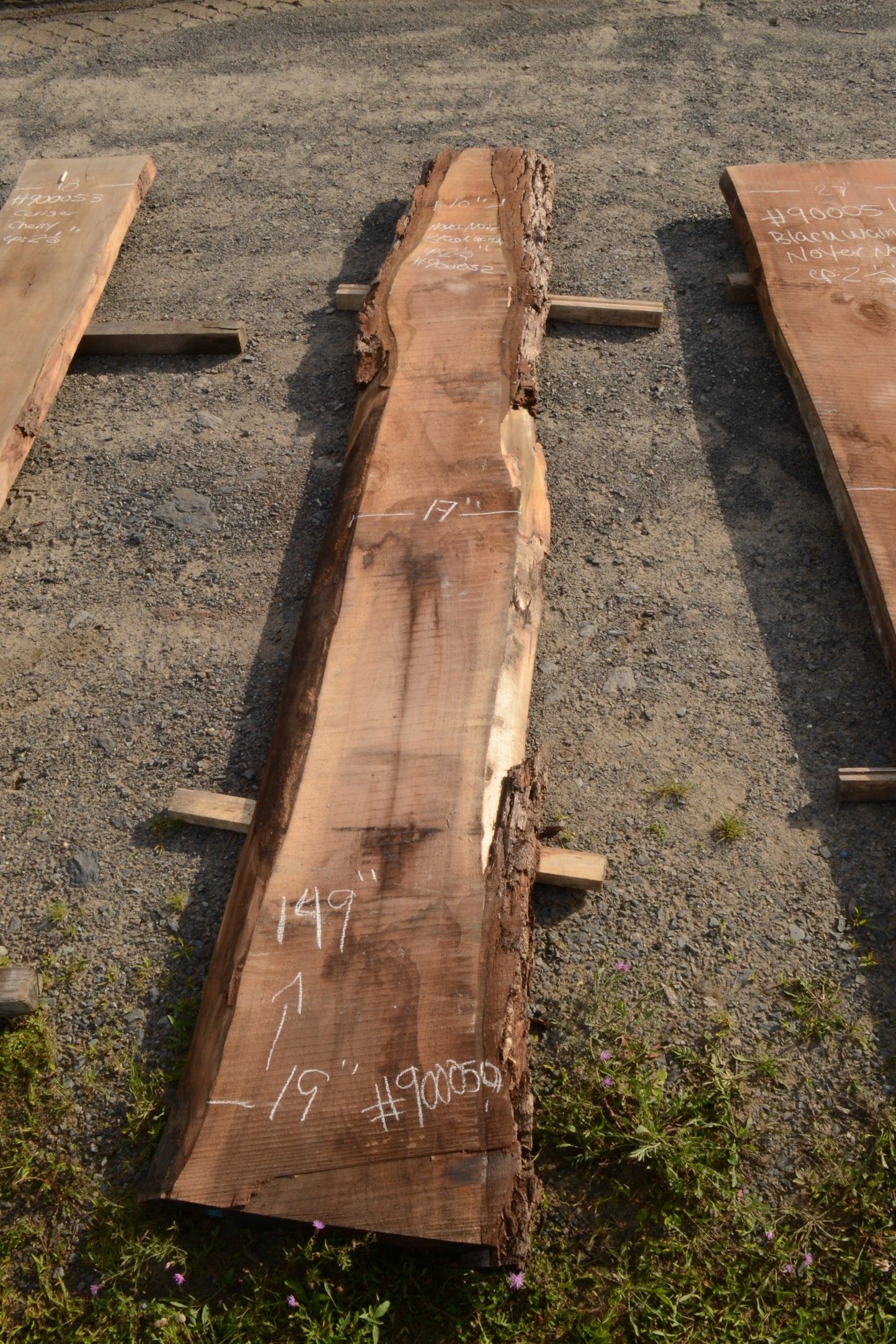 Kiln dried Black Walnut Slab.  (#900052)