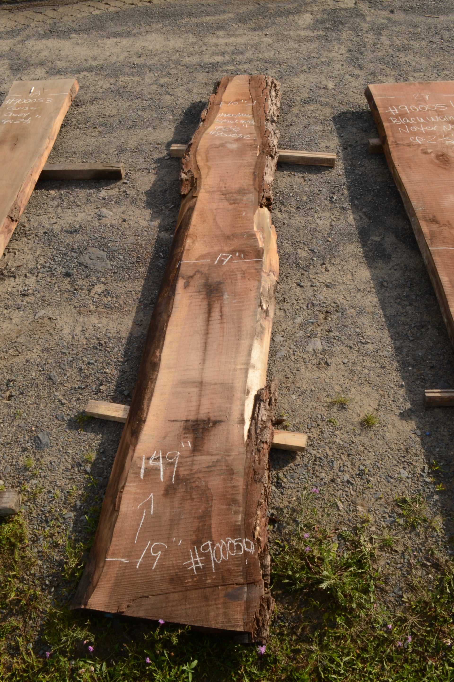Plaque De Bois Massif De Noyer Italien - Dimensions 340x250x40 Mm - Séchée Au Four - Neuf