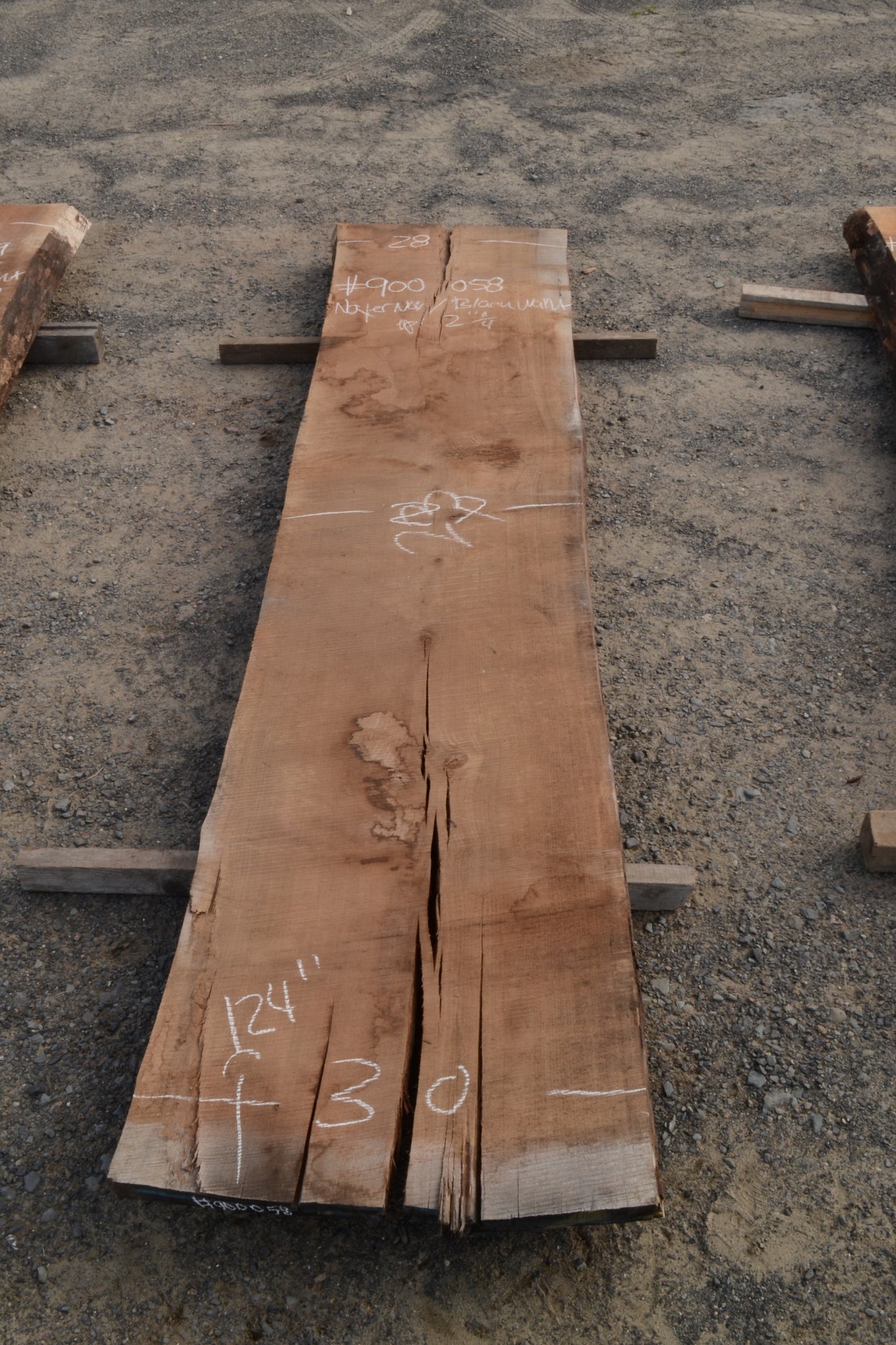 Kiln dried Black Walnut Slab.  (#900058)