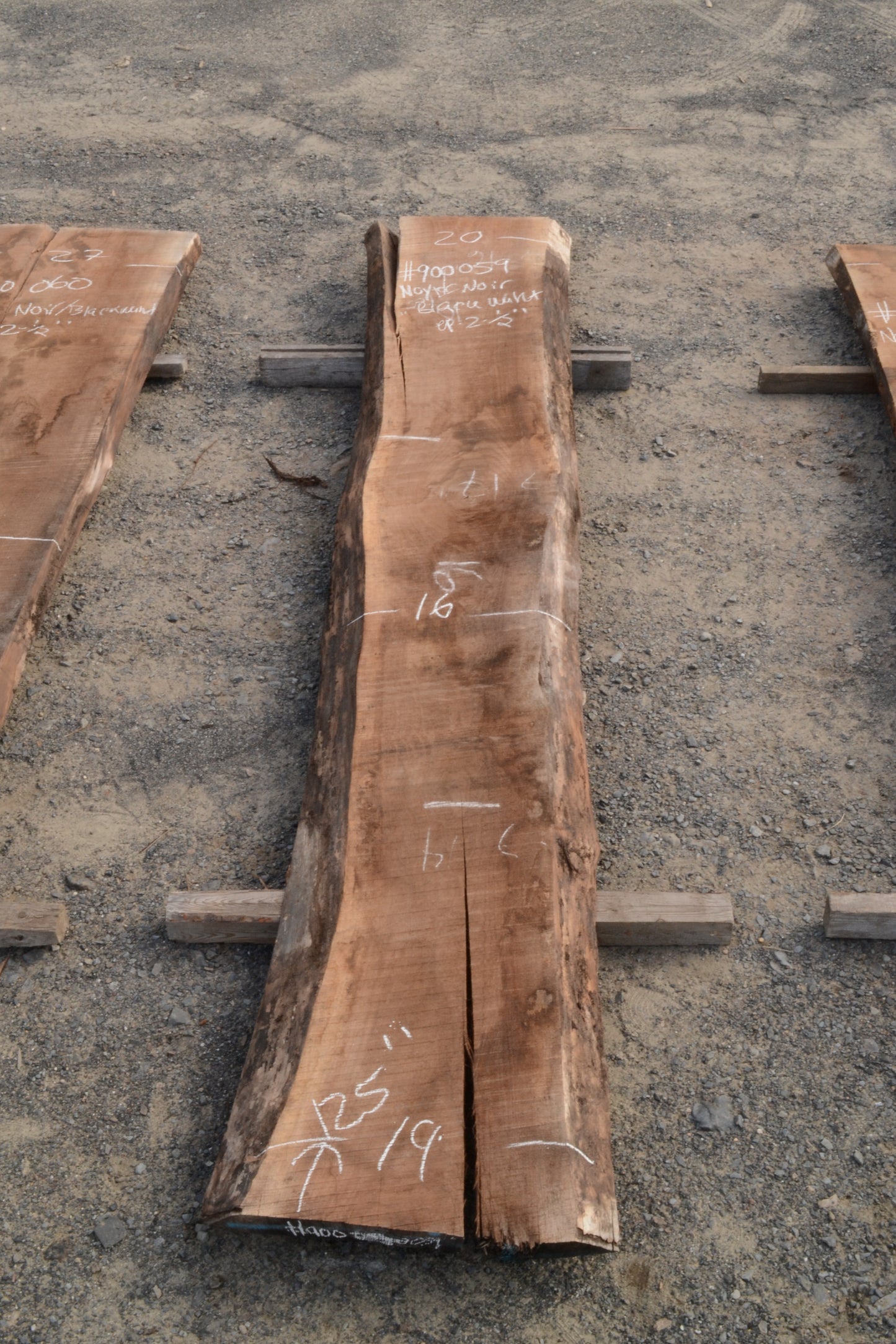 Kiln dried Black Walnut Slab.  (#900059)