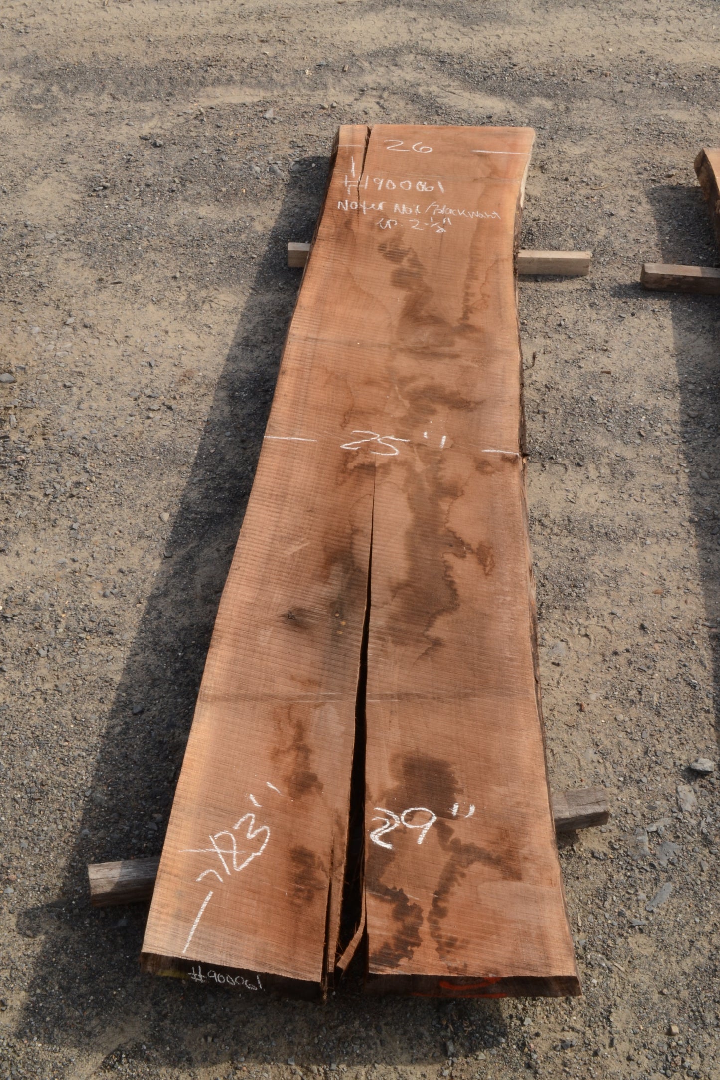 Kiln dried Black Walnut Slab.  (#900061)