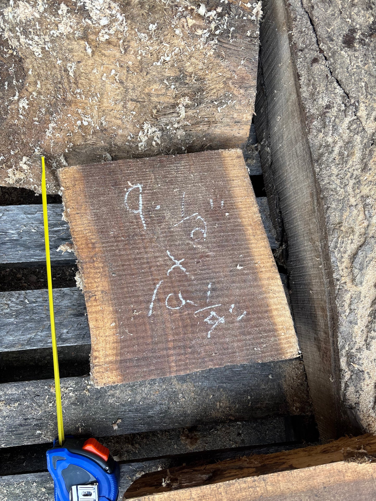 Green Black Walnut turning blocks