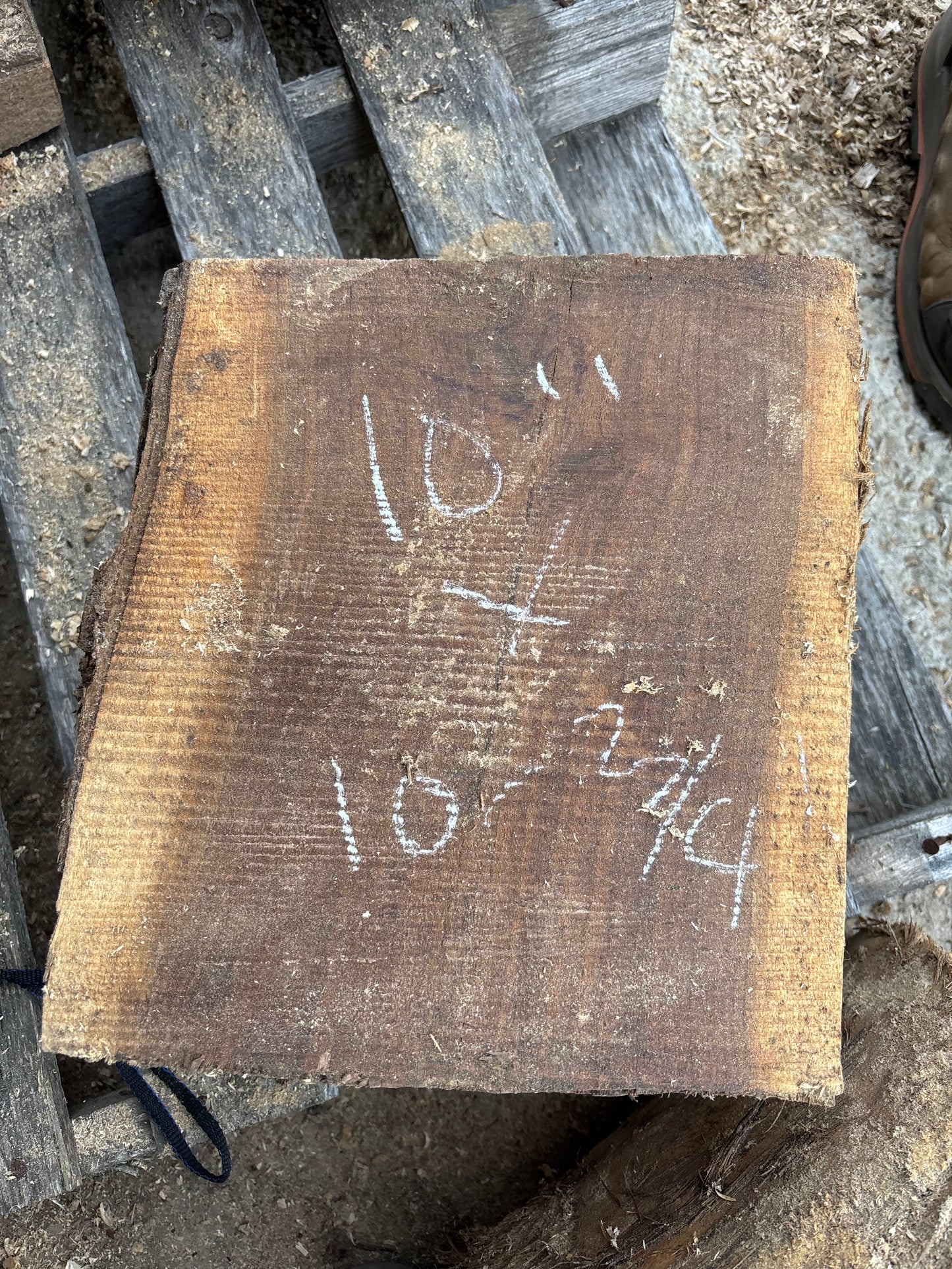Green Black Walnut turning blocks