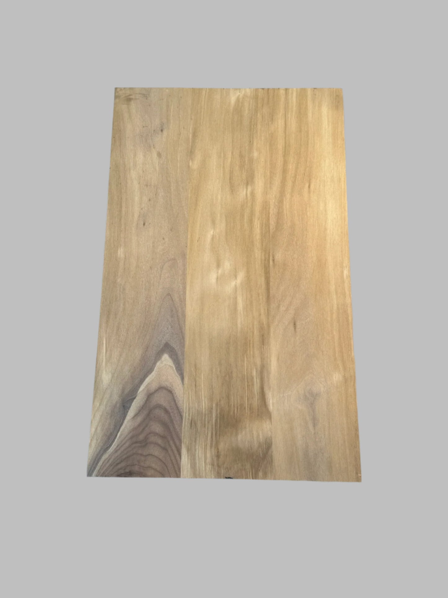 Black Walnut body blank