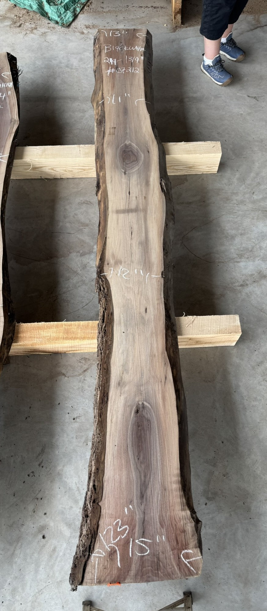 Small planed Black Walnut Liveedge