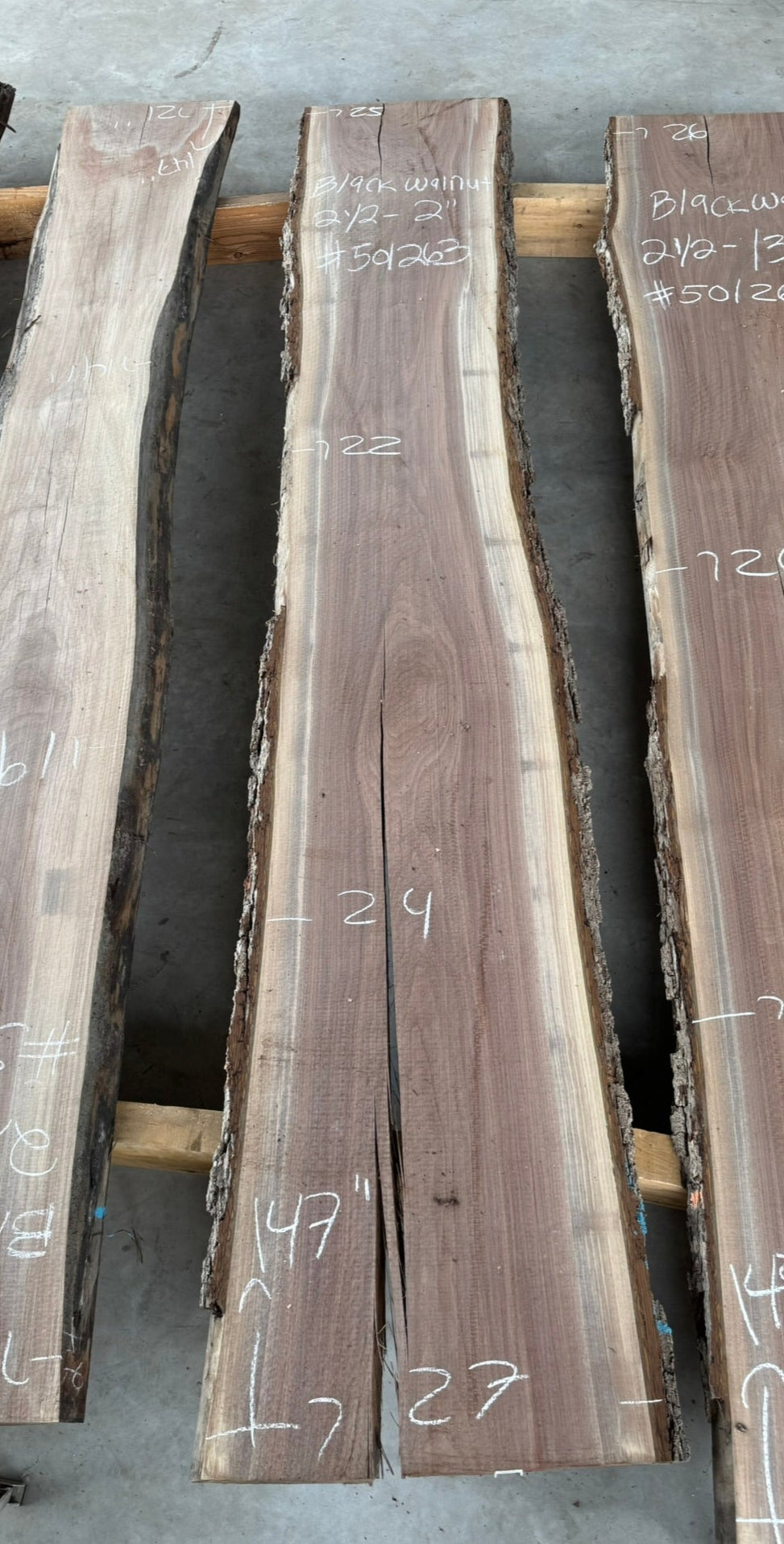 Black Walnut