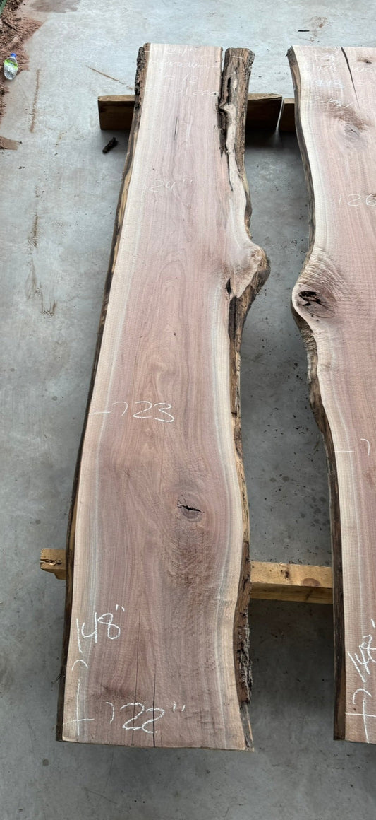 Black Walnut