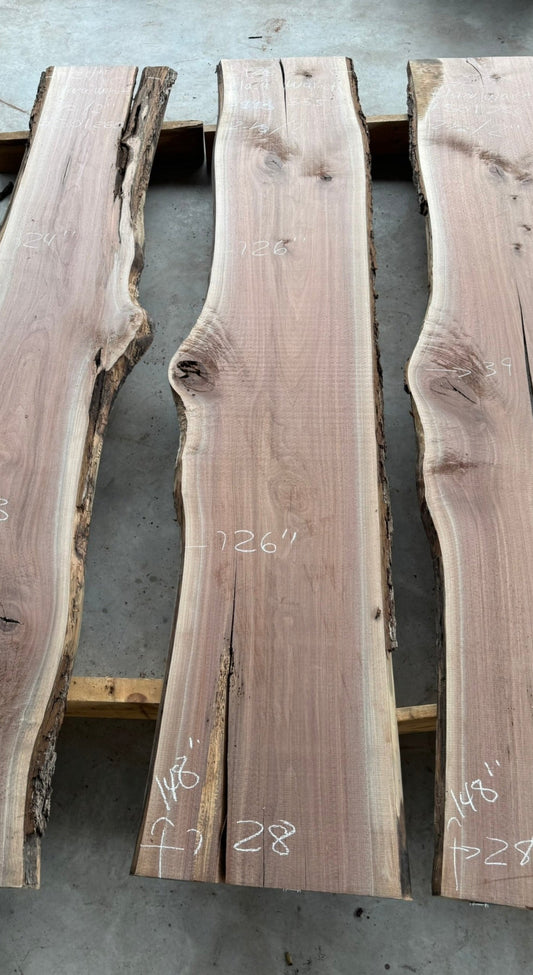 Black Walnut