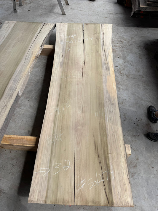 Tulip Poplar