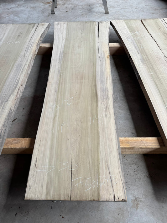 Tulip Poplar Lumber