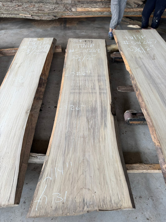Tulip Poplar Lumber