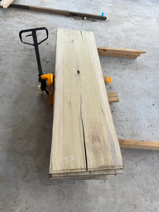 Slab de bois en tulipier plané. Bois sécher au four. (#900231)