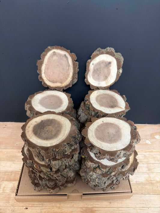 Walnut Wood Cookies – Rustic Live Edge Slices