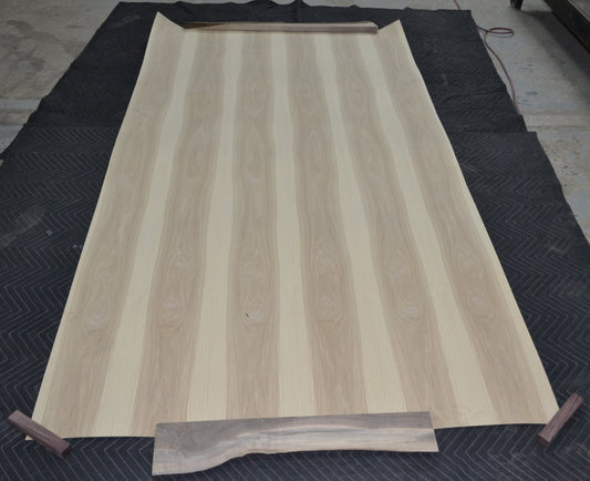 Hickory Calico paper back Veneer #V-24