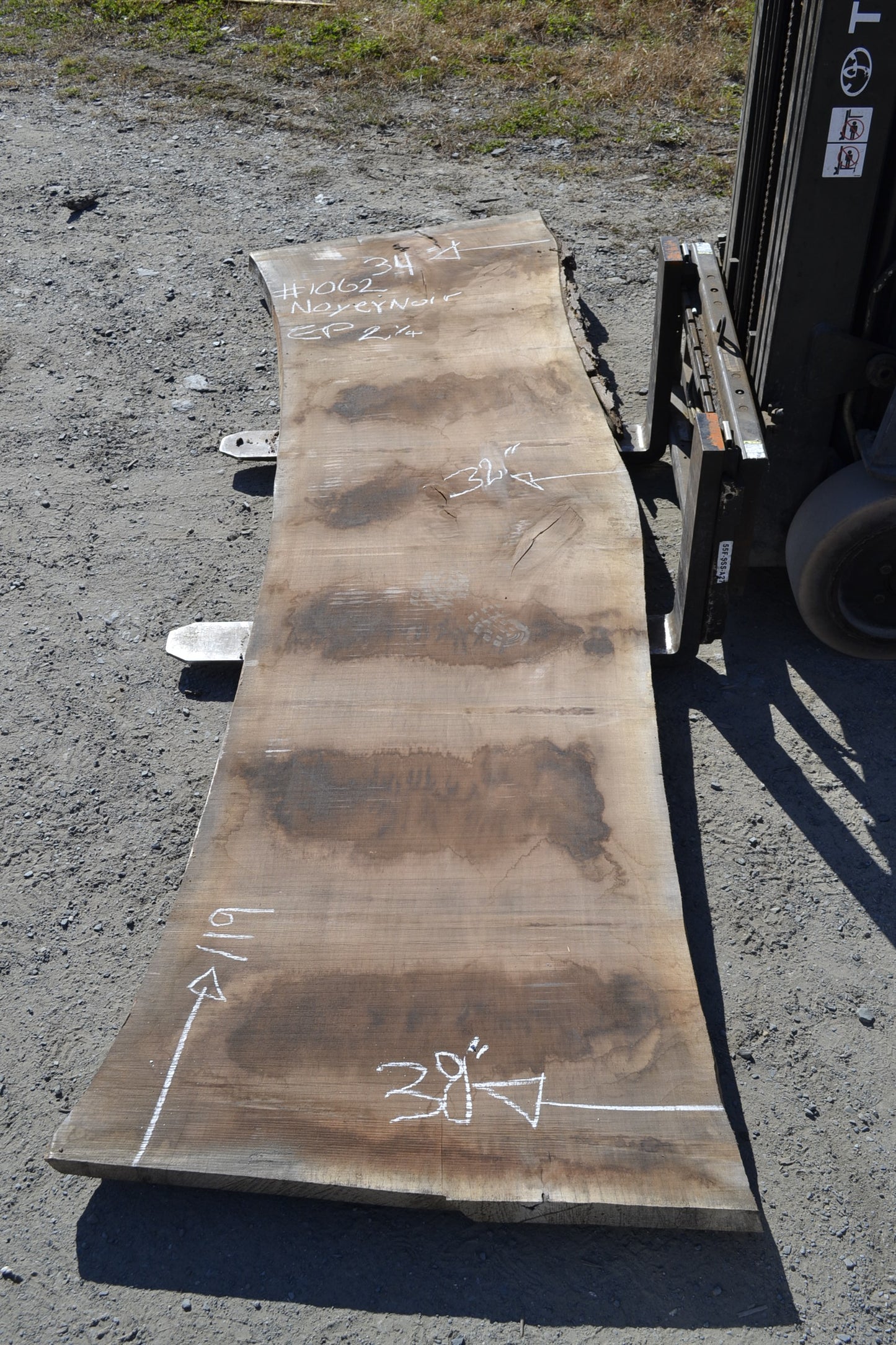 Black Walnut Slab (#1062)