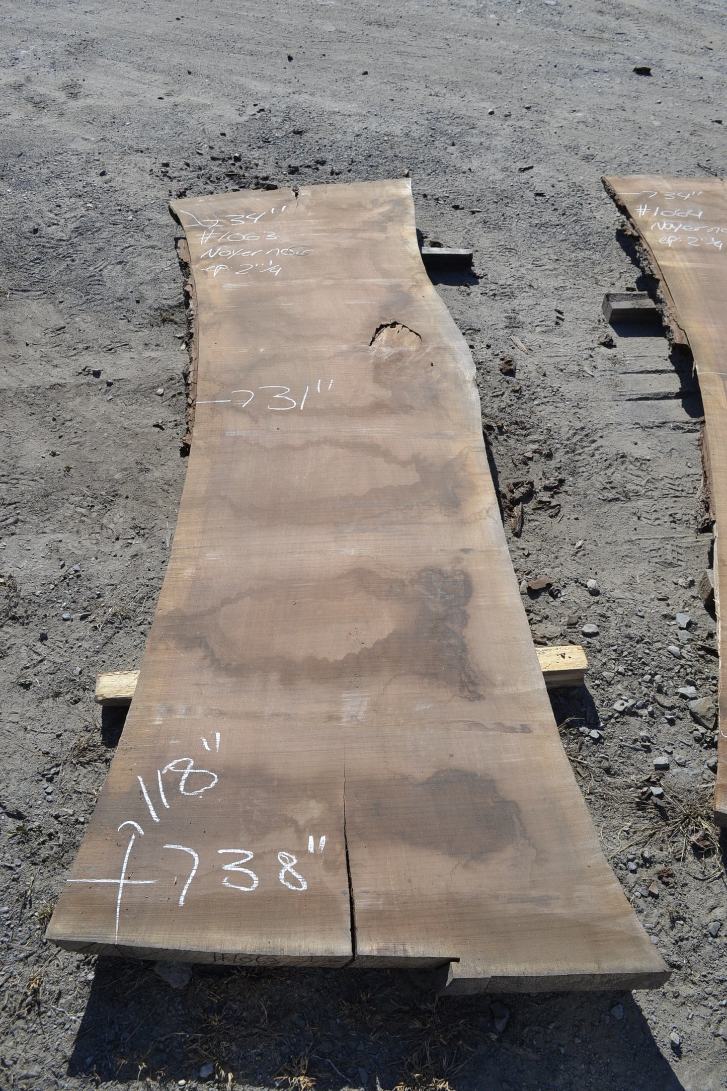 Black Walnut Slab (#1063)