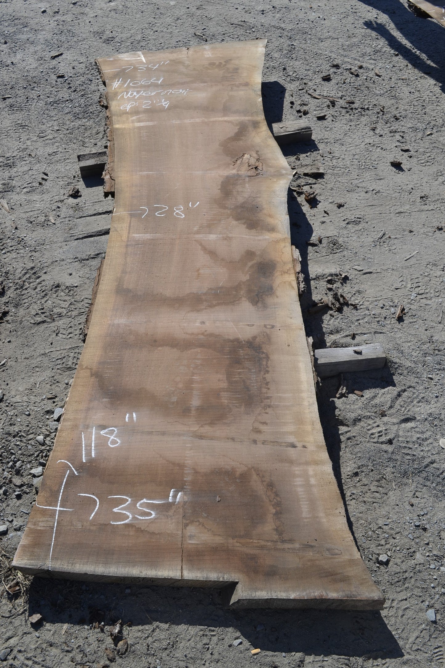 Black Walnut Slab (#1064)