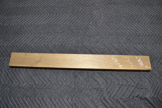 Torrefied Maple neck (elg-55)