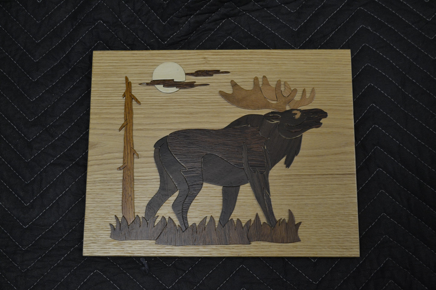 Moose (cad-05)