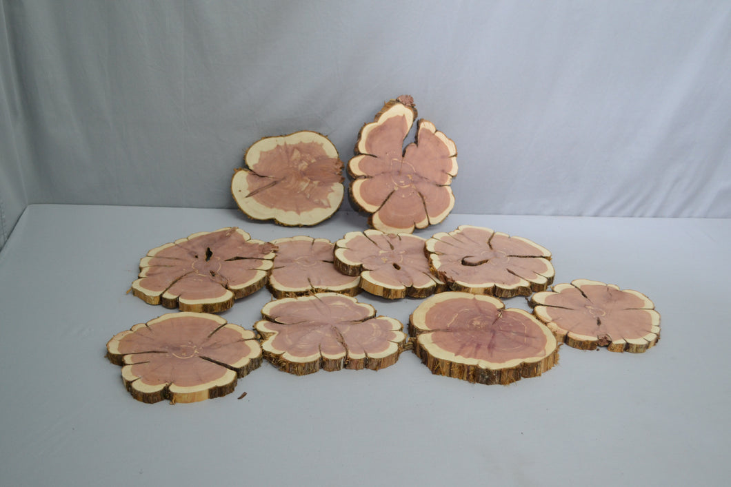 Aromatic red cedar rounds