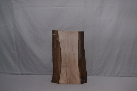 Small live edge black walnut (nn-11)