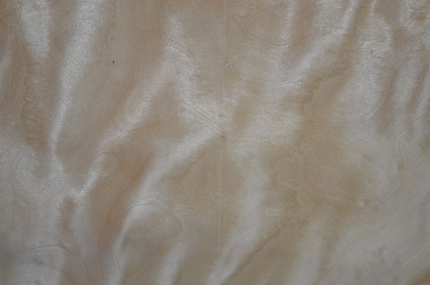 Ice birch veneer